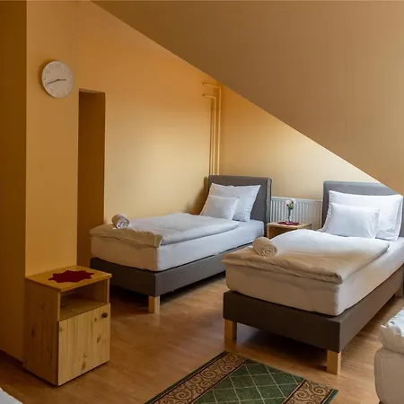 Betli Panzio 3*