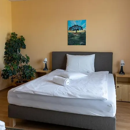 Betli Panzio Guest house *